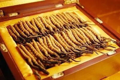 常德马年茅台酒瓶子回收 名酒冬虫夏草燕窝礼品回收图片