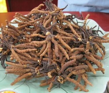 陇南茅台酒瓶套装回收 茅台酒瓶收购电话