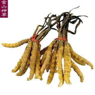 大庆市按克计价回收礼品冬虫夏草 白燕窝 干海参