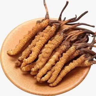 唐山市冬虫夏草回收地址电话