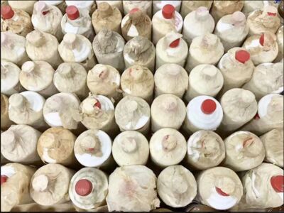 大庆高价回收50周年茅台酒回收鉴定茅台酒咨询图片