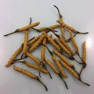 唐山市回收冬虫夏草 燕窝 海参等礼品
