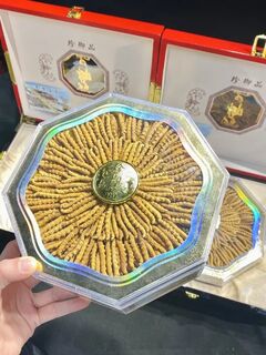 石家庄市回收冬虫夏草-涵盖发黑草-断草-混草-精选礼品草图片